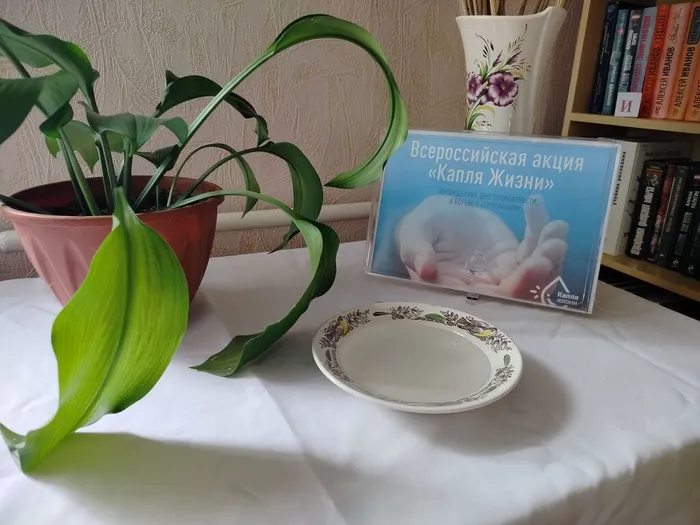 IMG20260827104012