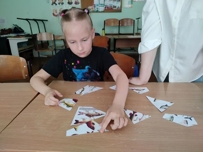 IMG20260617111030